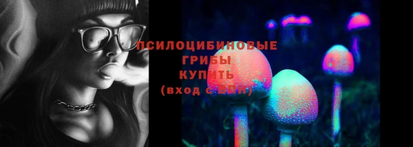 амфетамин Белокуриха