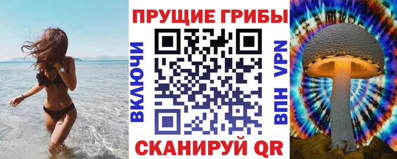 Галлюциногенные грибы Cubensis  Саяногорск 