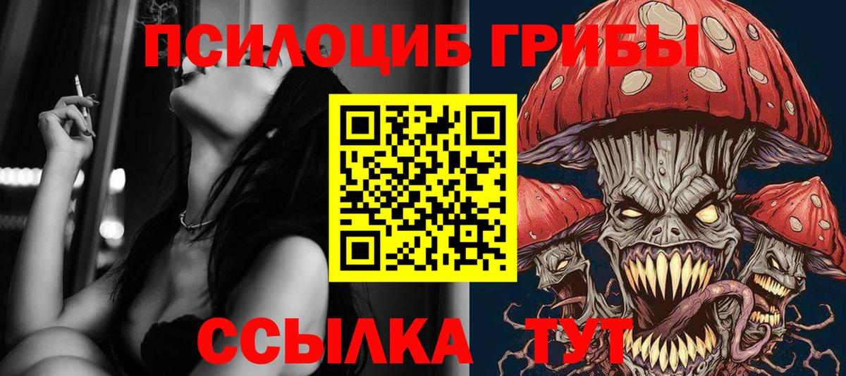 Саяногорск  Псилоцибиновые грибы Psilocybe  Вход с VPN  что такое наркотик  Псилоцибиновые грибы Magic Shrooms 