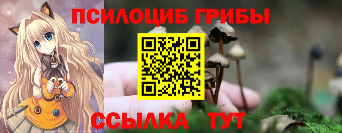 Галлюциногенные грибы мухоморы Саяногорск